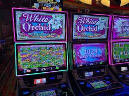 Philippine mobile player enjoying successful casino game on buenas platform